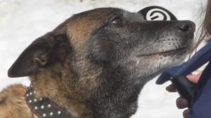 Они не носят погоны, но у каждого за плечами - годы настоящей боевой службы