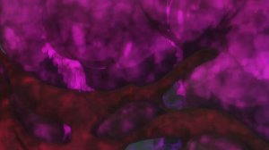 A.I.C.O.: Инкарнация 11 серия «Преданность» (аниме-сериал, 2018)