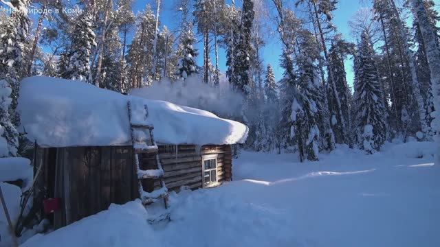 КУНИЦА ПОПЛА В ПОСЛЕДНИЙ КАПКАН. ВЕРНУЛСЯ В ИЗБУШКУ И ПОЖАРИЛ САЛО. 5 серия