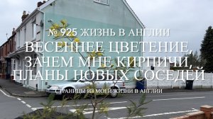 Зачем мне кирпичи? Весеннее цветение и планы новых соседей. № 925 Жизнь в Англии