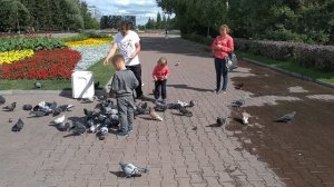 Поездка в город,кормим голубей🌺🪷