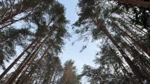 Весенний учебно-полевой выход. Фильм 2