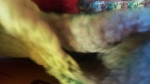 Чем  занималась перед пятницей  13..