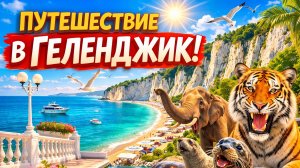 На автодоме в Геленджик Пляж Сосновка Шато де Талю Сафари парк и набережная Новороссийск