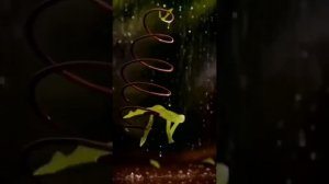 Ну что не стареющее племя