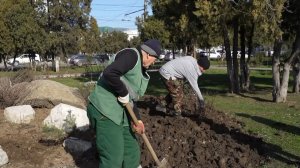 Городские клумбы готовят к сезону