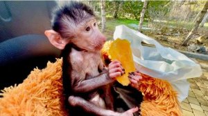 Николь прямо ПРИНЦЕССА, ездит на самокате и впервые пробует манго и курагу❤️