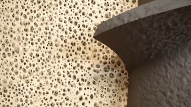 Имплантаты JDIcon Plus_ внутреннее коническое соединение - полная герметичность