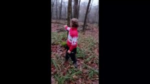 Открытие и результаты исследования стоянки древнего человека «Изнаир Романовский»