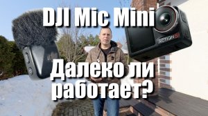 DJI Mic Mini: Как далеко он слышит? Тестируем на максимальной дистанции!