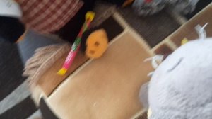 день с басиками