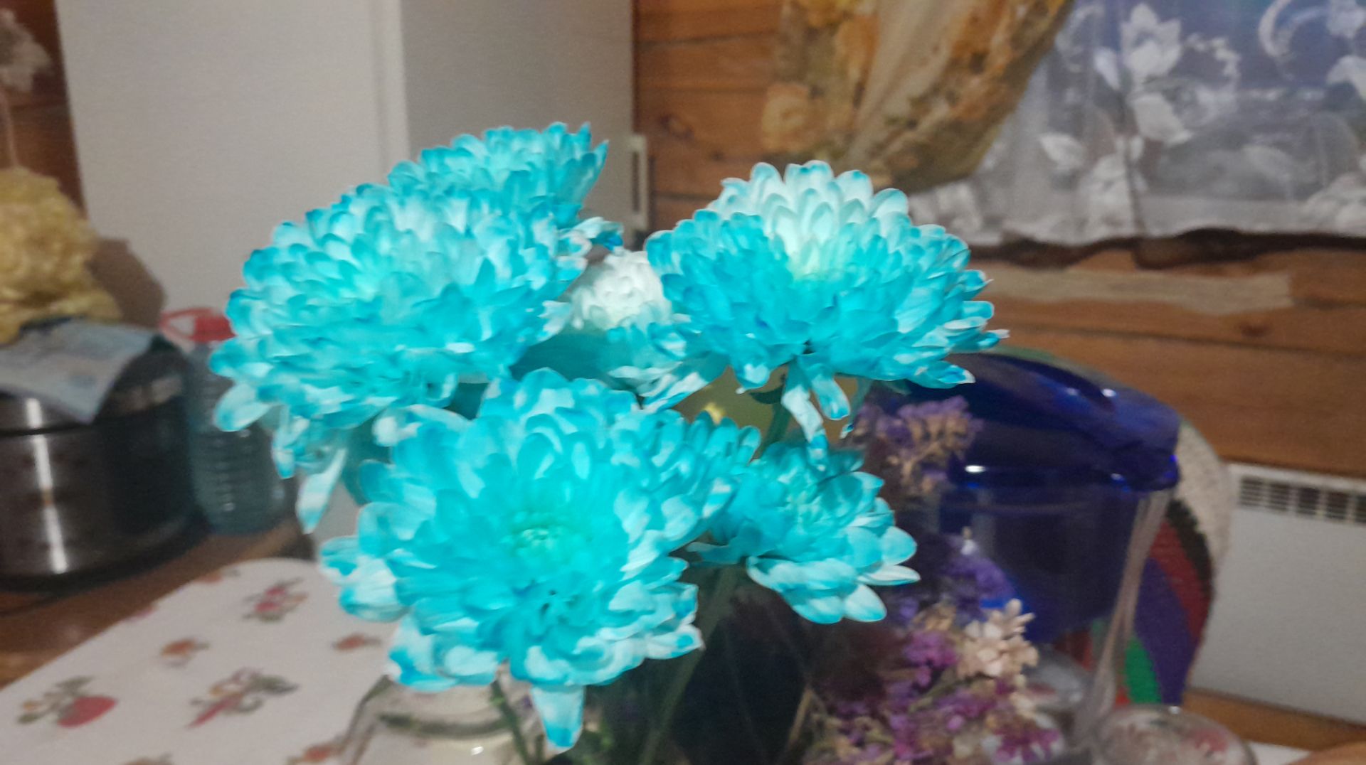 УЮТНЫЙ🫠ВЛОГ🏡ДОМАШНИЙ- ВРЕМЯ И ЧАСЫ🕒/РАССАДА☘️РАСТЁТ/ОТВЕТ ПО📚КНИГАМ