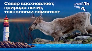 Север вдохновляет, природа лечит, технологии помогают | Смотритель маяка с Романом Маякиным