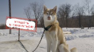 НОВОСТИ КАМЧАТКИ: УВИДЕТЬ И ВЛЮБИТЬСЯ…