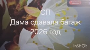СП Дама сдавала багаж. Отчёт. март 2026 год