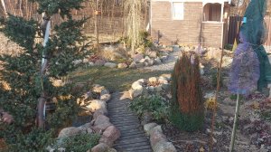 И все же кипарисовики подгорели😩🌲