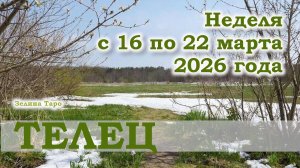 ТЕЛЕЦ | ТАРО прогноз на неделю с 16 по 22 марта 2026 года