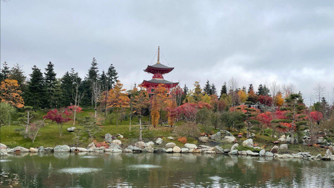 Парк Галицкого, Японский сад, Краснодар