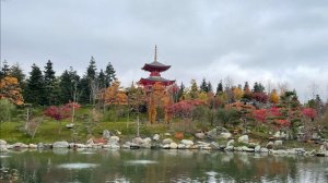 Парк Галицкого, Японский сад, Краснодар