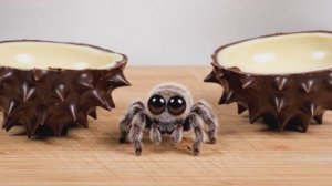 ВСКРЫВАЕМ ШОКОЛАДНЫЕ ШАРИКИ И СМОТРИМ МИЛЫХ ЖИВОТНЫХ ВНУТРИ! ПТИЧКИ ПАУЧКИ В ШОКОЛАДЕ АСМР ИИ ВИДЕО