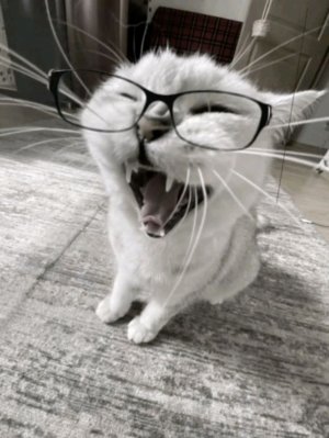 балуемся﹤3