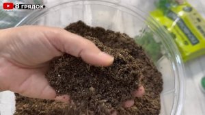 Лунный посевной календапь . Благоприятные дни для посева семян на рассаду