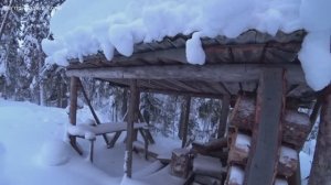 ПРОВЕРЯЮ КАПКАНЫ. ЕСТЬ СРАБОТКИ. ЭТУ ВОРИШКУ НЕНАВИДЯТ ВСЕ ОХОТНИКИ. 4 серия