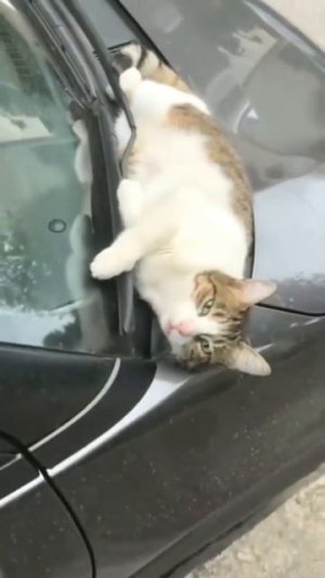 Доброе утро