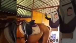 Куда она делась?