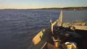 РЫБАЛКА НА МОРСКУЮ ЗМЕЙКУ! НА БЕЛОМ МОРЕ С КАТЕРА!