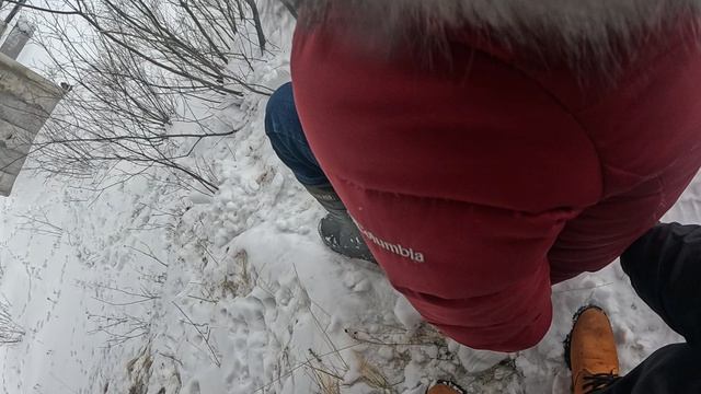 поход к реке,прогулка#простоЗАХАРЫЧ