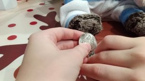 собираем басиков мы поездку на дачу Китти Лили Басик его дружная компания