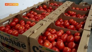 ВЛАСТИ КАМЧАТКИ ЗАЯВЛЯЮТ О ПРИНЯТЫХ МЕРАХ ПО СДЕРЖИВАНИЮ ЦЕН НА МЕСТНЫЕ ПРОДУКТЫ • НОВОСТИ КАМЧАТКИ