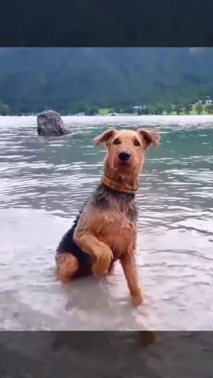 Прекрасного дня