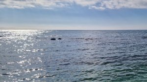 Песенная Медитация 13.03.2026