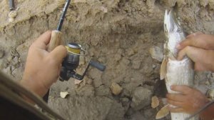 Ультралайт и Щуки