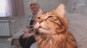 В Серпухове педагоги получают служебное жилье