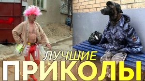 СМЕШНО_ДО_СЛЕЗ_😂_17_Минут_ОТБОРНЫХ_Русских_приколов_2025_Смешные