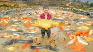 Вылавливаю много крупной рыбы в пруду на ферме Тоана. И продаю ее на рынке.