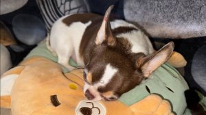 Доброго всем вечера и самой спокойной ночи.