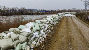 Защитные дамбы возводят в Казахстане из-за угрозы паводков в пяти регионах страны