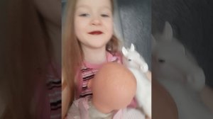 новый член семьи