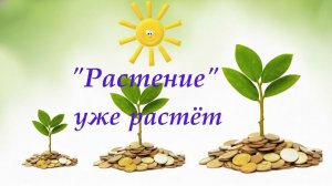 Запуск канала "Растение"