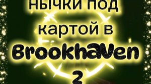 нычичка под картой Brookhaven 2