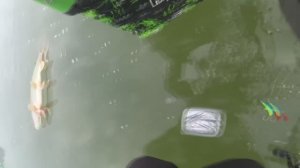 ГЛУБИНА 1 МЕТР  ПАЛКА В ДУГУ рыбалка зимой