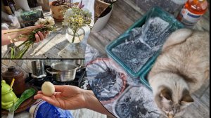 Что с рассадой будет неизвестно теперь. Дала букету вторую жизнь. Пробуем хинкали на обед