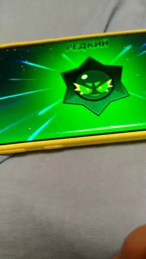 БРАВЛ(может вылететь)