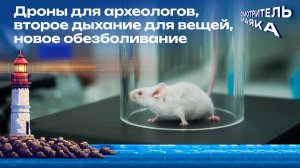 Дроны для археологов, второе дыхание для вещей, новый обезбол | Смотритель маяка с Романом Маякиным