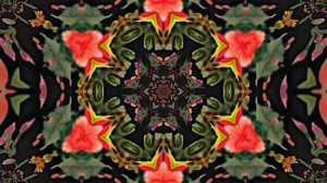 Футажи! Комплект Футажей Планета тюльпанов 3 от Киностудии Мудрого Кота Тимофея!