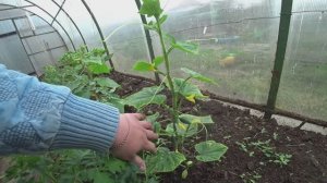 Влог от 14.05.2022